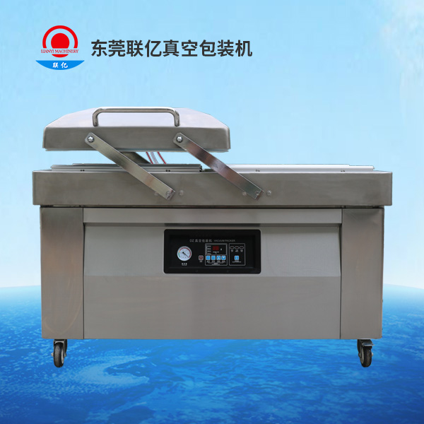 LY-600-2SB 雙室內(nèi)抽真空包裝